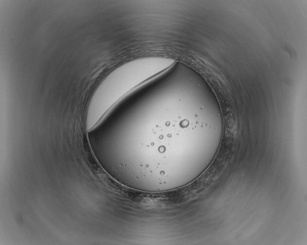 X0000112740560200909031508