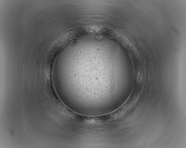 X0000112740561200909031508