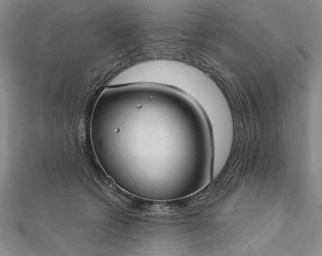 X0000112740562200909031508