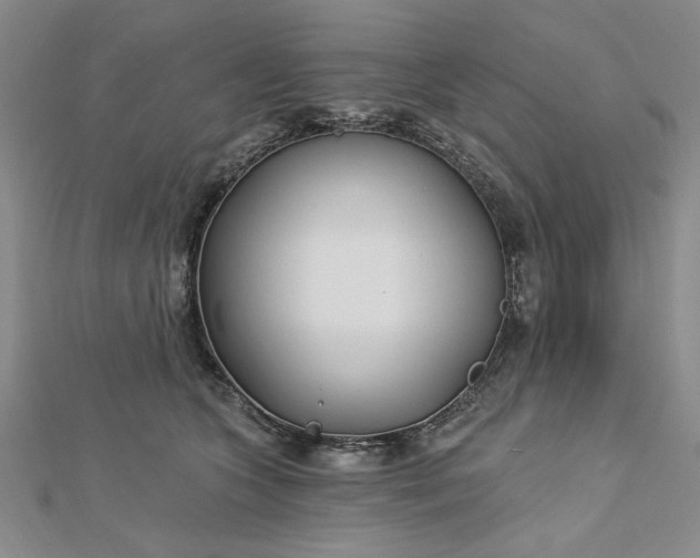 X0000112740563200909031508