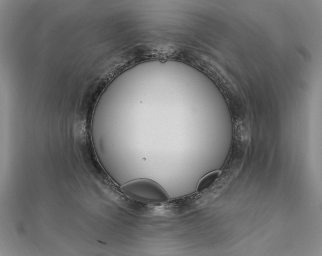 X0000112740564200909031508