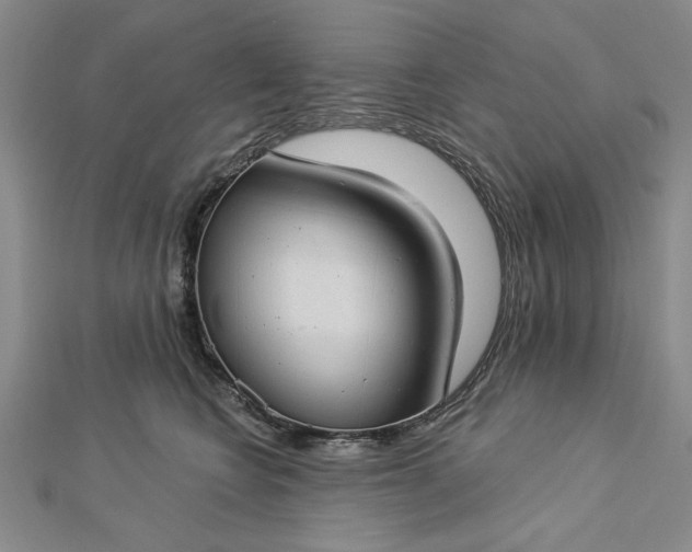 X0000112740566200909031508