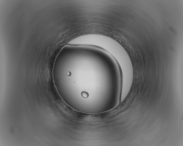 X0000112740568200909031508