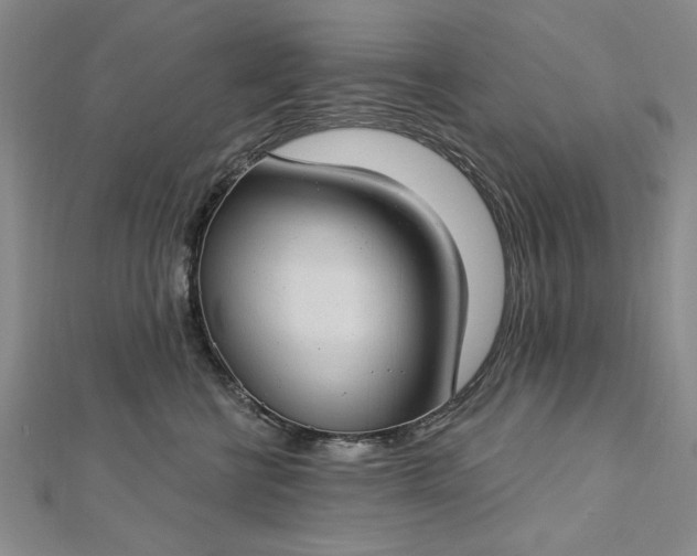 X0000112740570200909031508