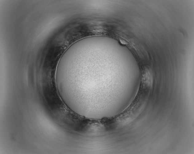 X0000112740572200909031508