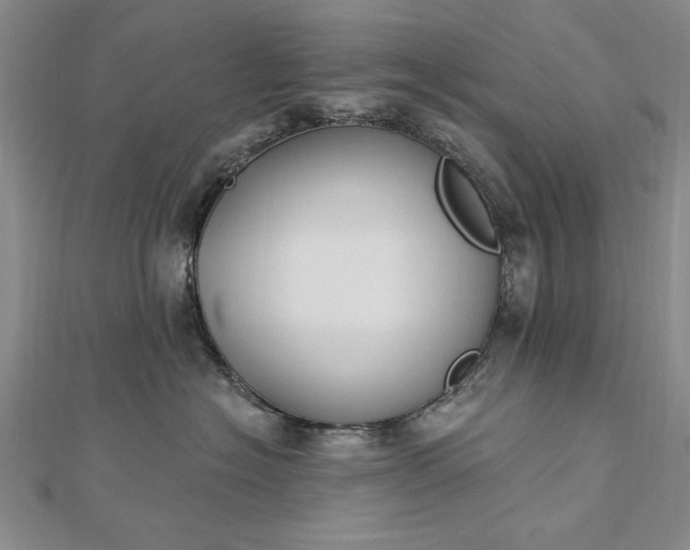 X0000112740574200909031508