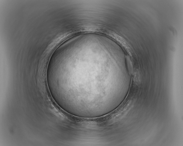 X0000112740577200909031508