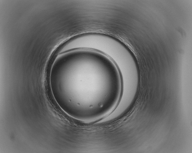 X0000112740579200909031508