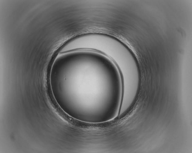 X0000112740581200909031508