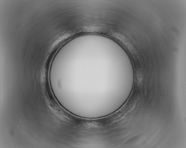 X0000112740583200909031508