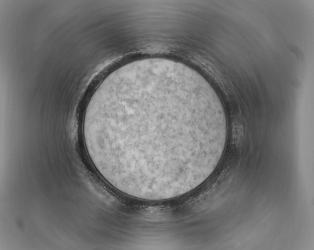 X0000112740584200909031508