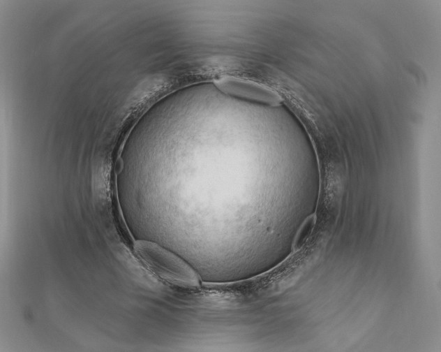 X0000112740585200909031508