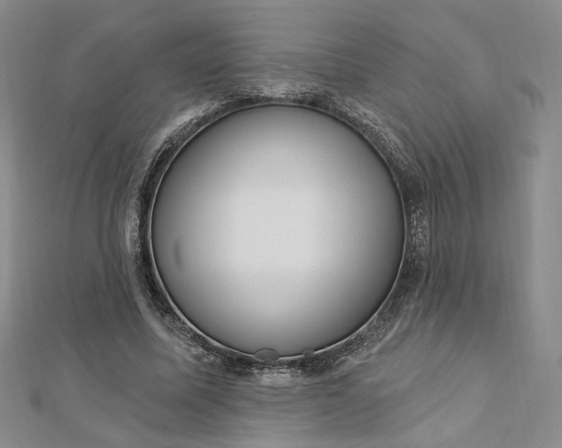 X0000112740587200909031508