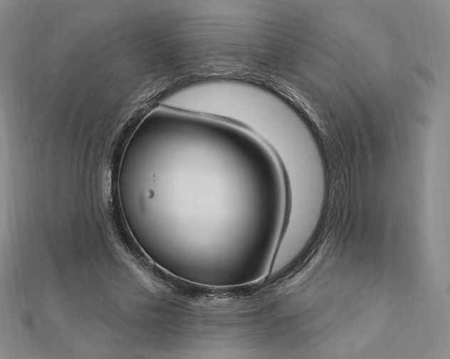 X0000112740589200909031508