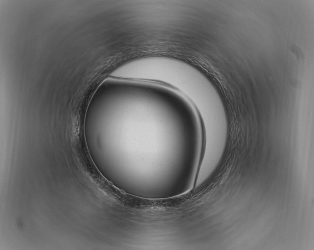 X0000112740593200909031508