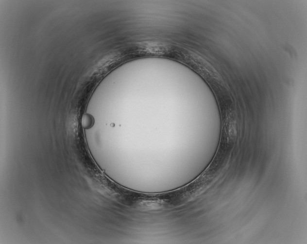 X0000112740595200909031508