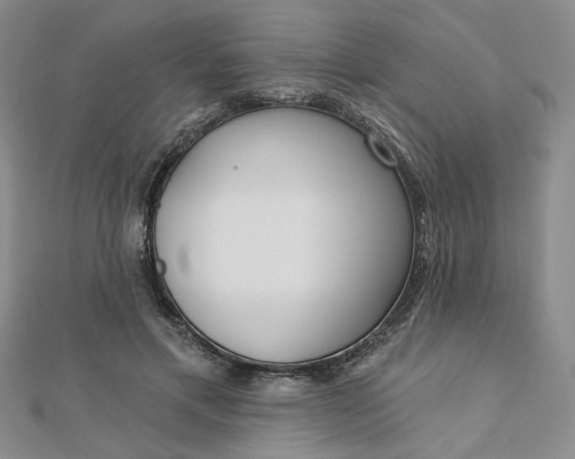 X0000112740597200909031507