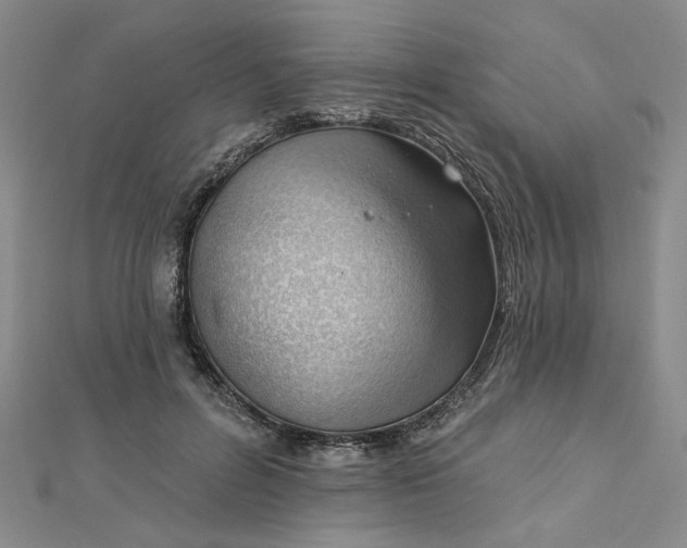 X0000112740600200909031507