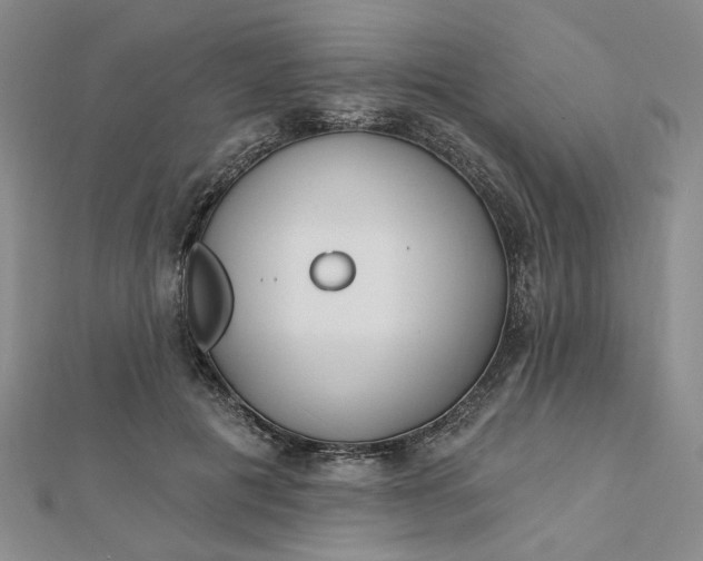 X0000112740601200909031507