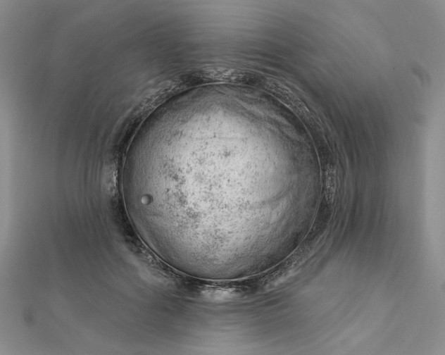 X0000112740602200909031507