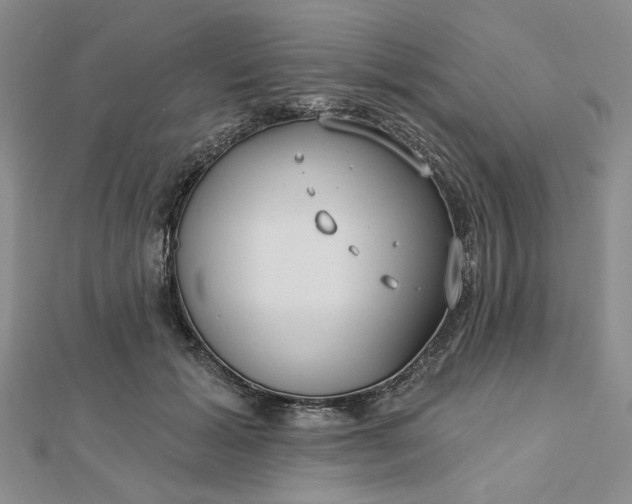 X0000112740605200909031507