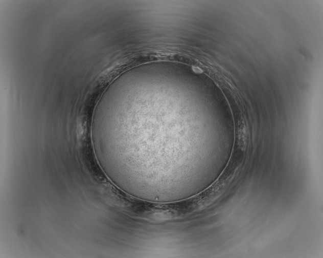 X0000112740608200909031507