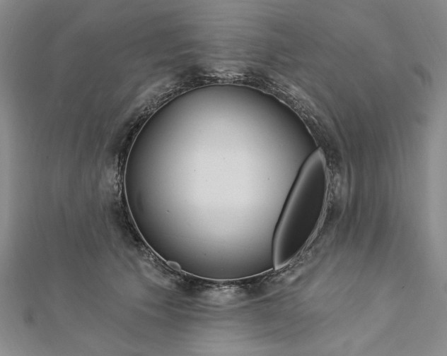 X0000112740609200909031507