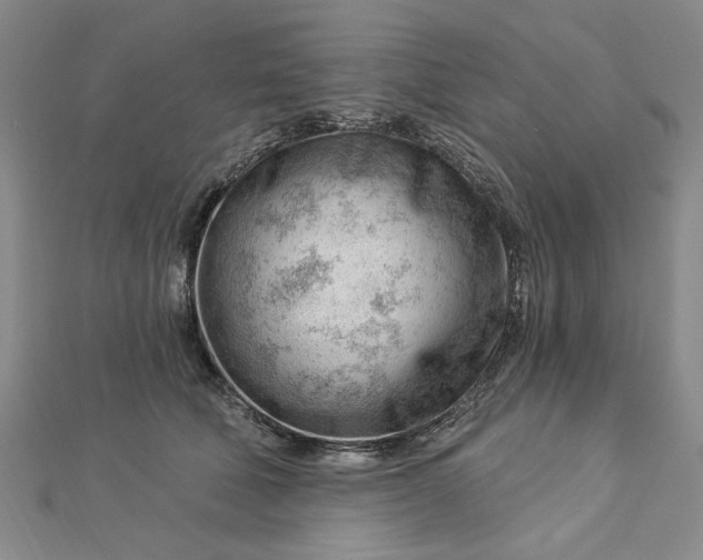 X0000112740610200909031507