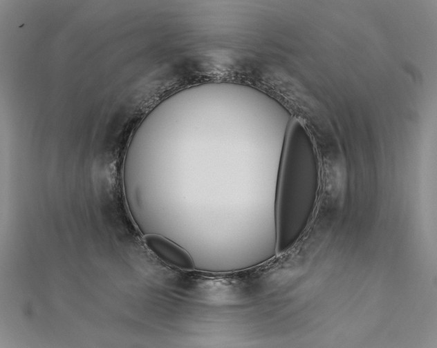 X0000112740611200909031507