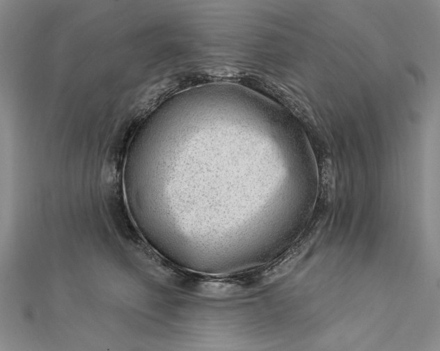 X0000112740614200909031507