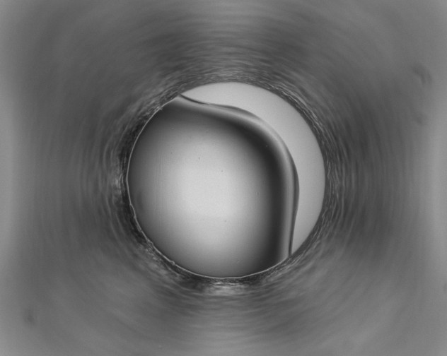 X0000112740617200909031507