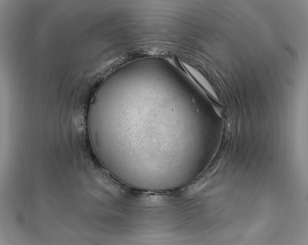 X0000112740620200909031507