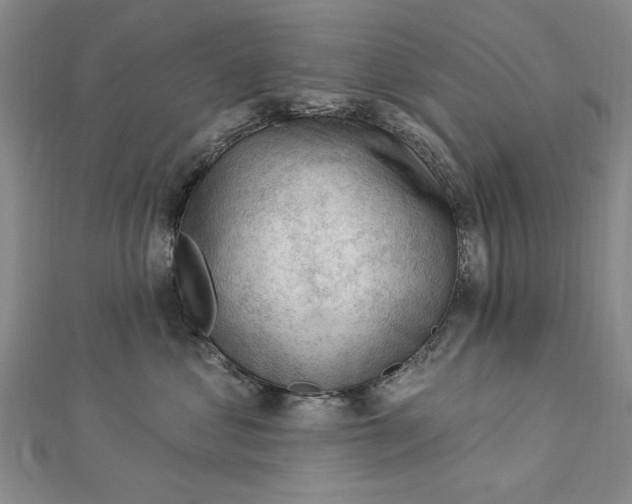 X0000112740621200909031507