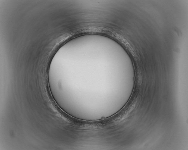 X0000112740625200909031507