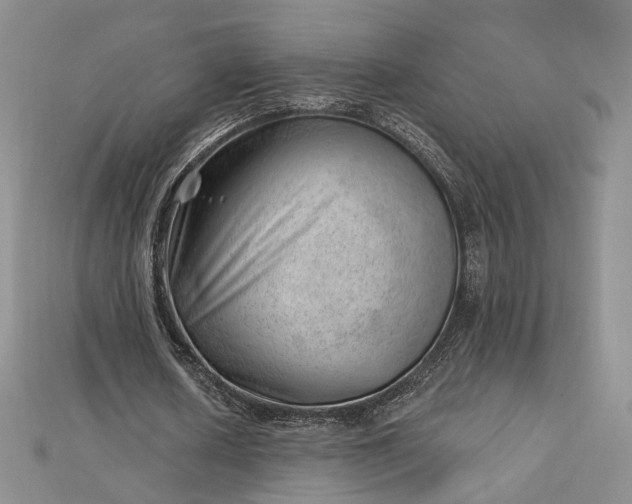 X0000112740626200909031507