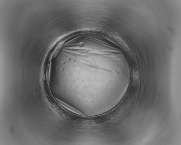 X0000112740628200909031507