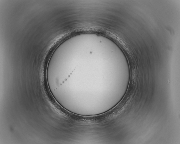 X0000112740629200909031507