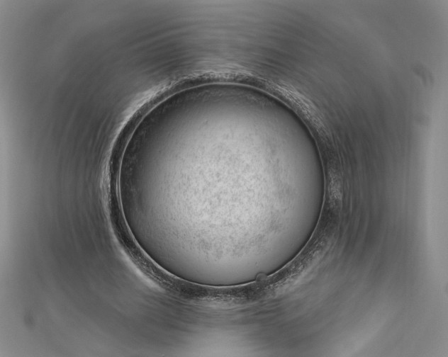 X0000112740630200909031507