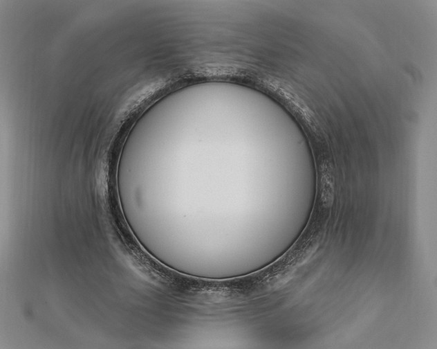 X0000112740631200909031507