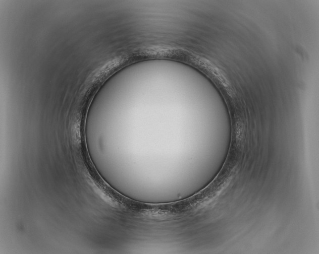 X0000112740633200909031507