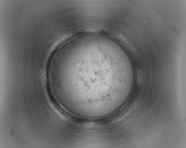 X0000112740634200909031507