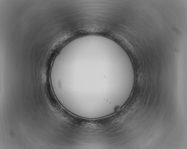 X0000112740635200909031507