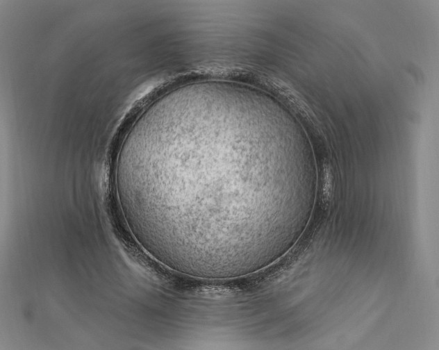 X0000112740636200909031507