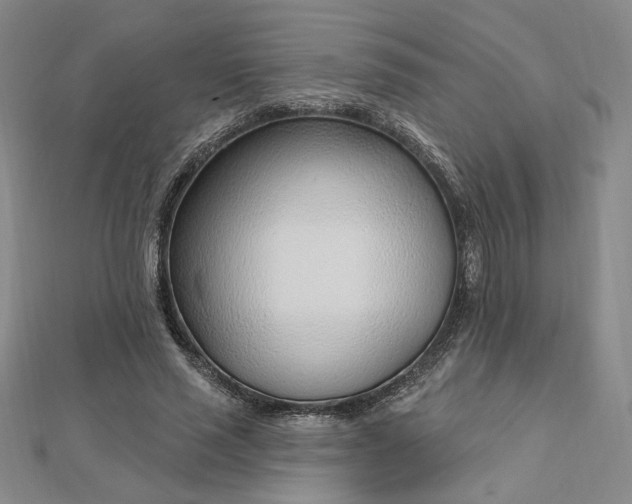 X0000112740637200909031507