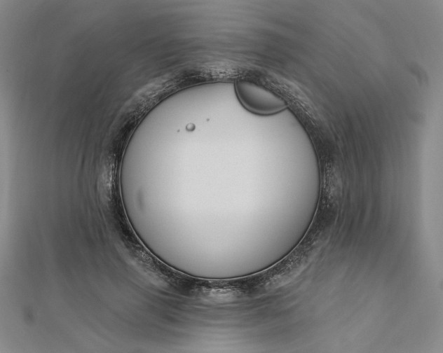 X0000112740645200909031507