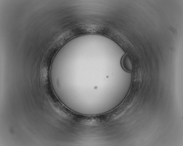 X0000112740646200909031507