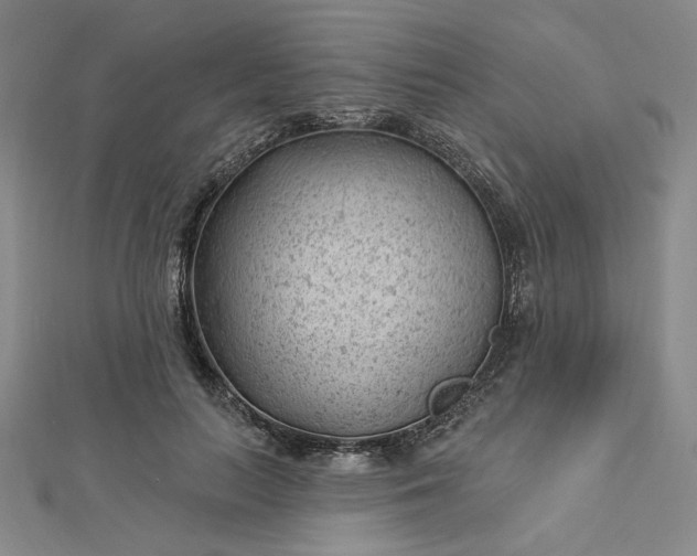 X0000112740647200909031507