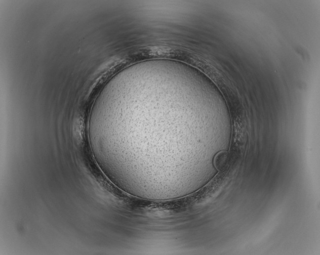 X0000112740648200909031507