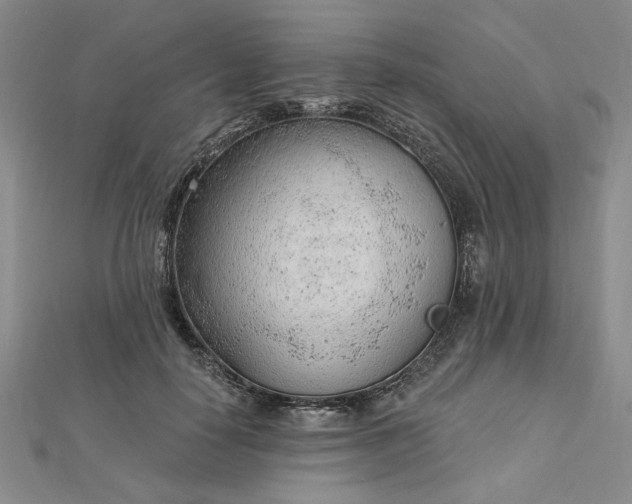 X0000112740650200909031507