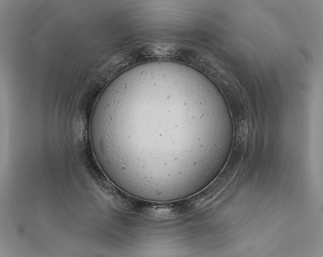 X0000112740651200909031507